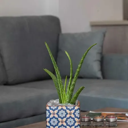 Apartamento F *