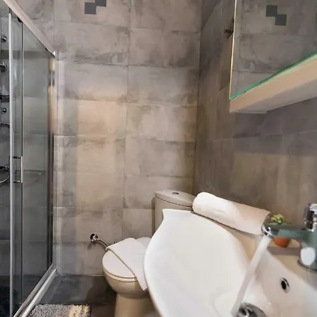 Apartment F Lefkada City